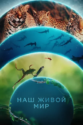 Наш живой мир (2024) смотреть онлайн