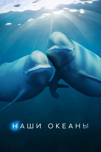 Наши океаны (2024) смотреть онлайн