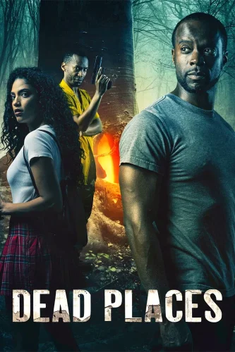 Лабиринт страха (2021) смотреть онлайн