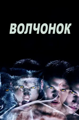 Оборотень (2011) смотреть онлайн